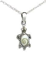Sterling Silver Sea Turtle with Shiva Shell Necklace 083