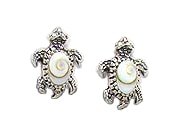 Sterling Silver Turtle with Shiva Shell Post Earrings