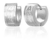 Stainless Steel Fish bone Huggie Earrings 250