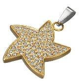 Stainless Steel CZ Starfish Pendant 202