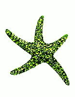 Sterling Silver Sea Star with Olivine Crystals Pendant 991