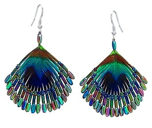 Peacock Feather Earrings 659