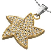 Stainless Steel CZ Starfish Necklace 202