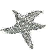 Stainless Steel Starfish Pendant 521