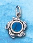 paua dolphin charm DC241