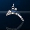 Paua Shell Sterling Silver Dolphin Charm DC 706