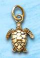 sea turtle charm DC 690 in gold