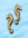 seahorse post earrings DE 4212 in gold