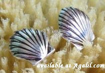 sterling silver scallop post earrings DE 795