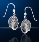 Sterling Silver Stingray Earrings DE 302